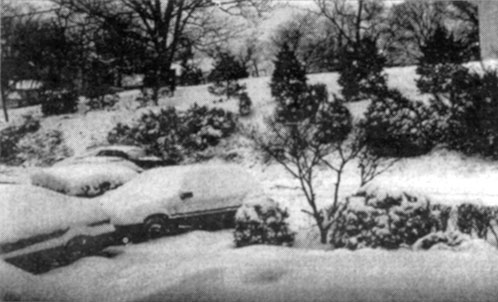 Snow falls on Riverdale Park